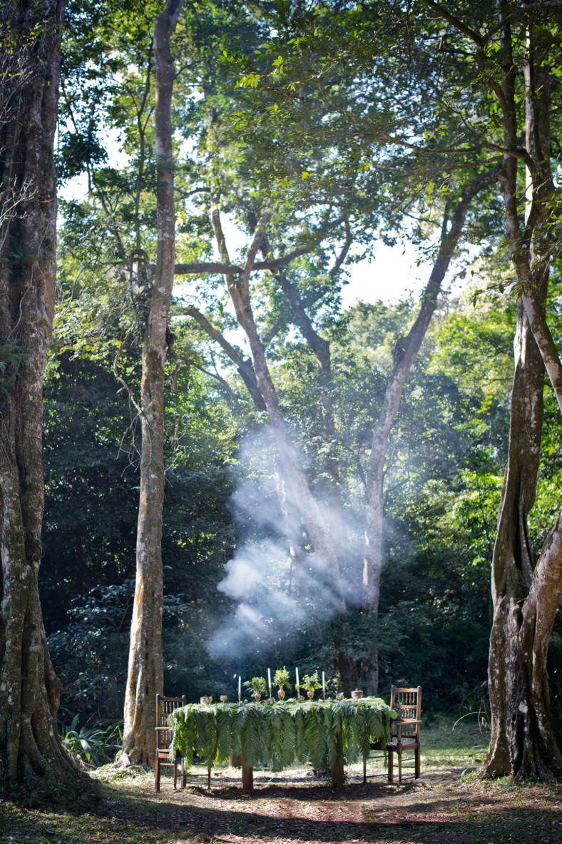 Enchanted Forrest Wedding