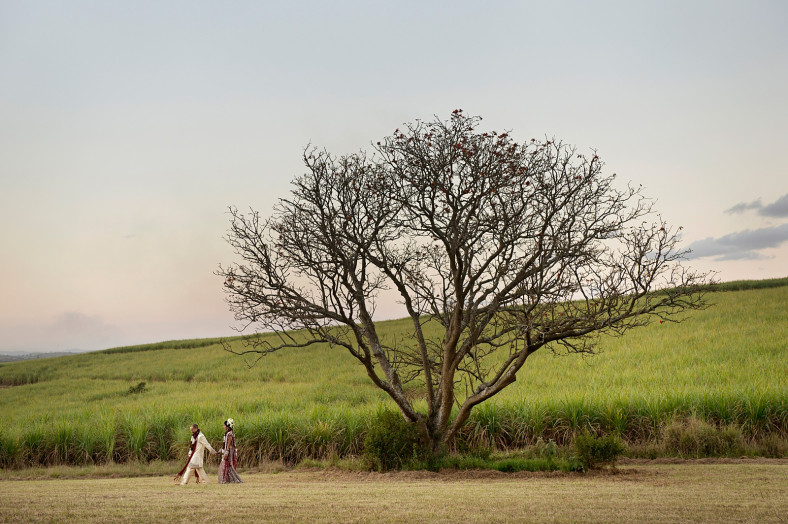 Indian bride and groom with tree