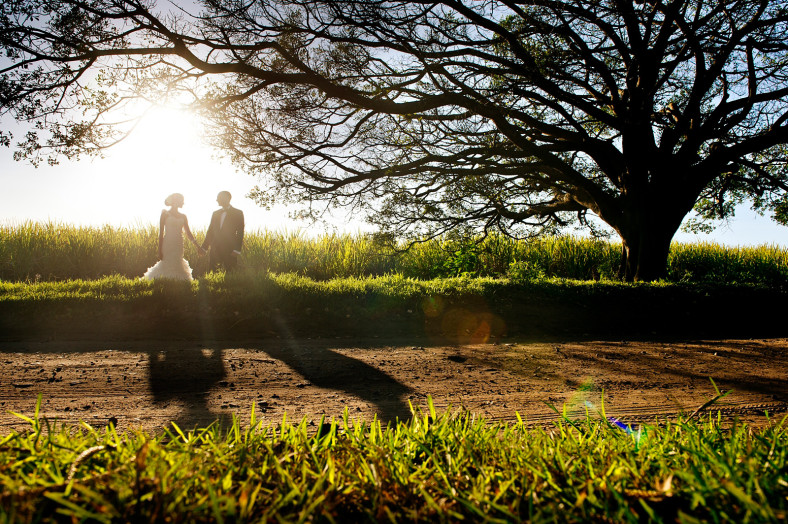 Bride and Groom with tree