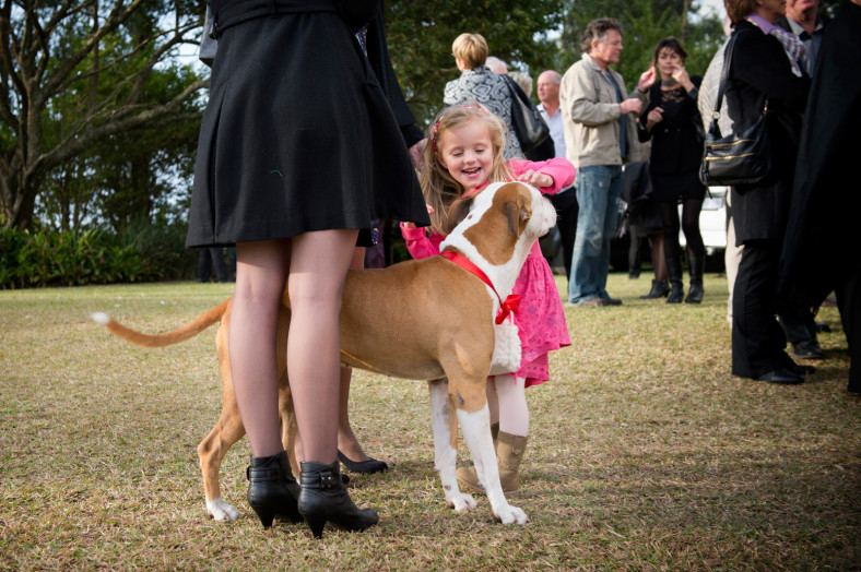 little girl with dog