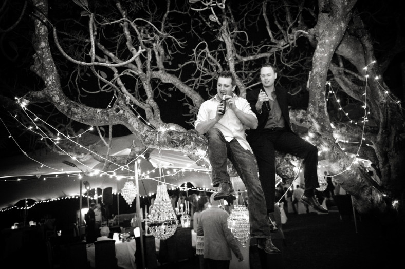 men in a tree