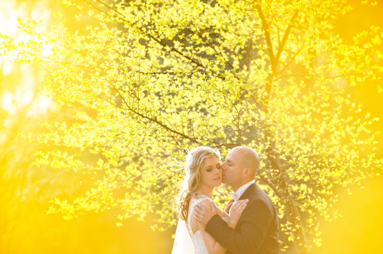 Bride and Groom in yellow flowers