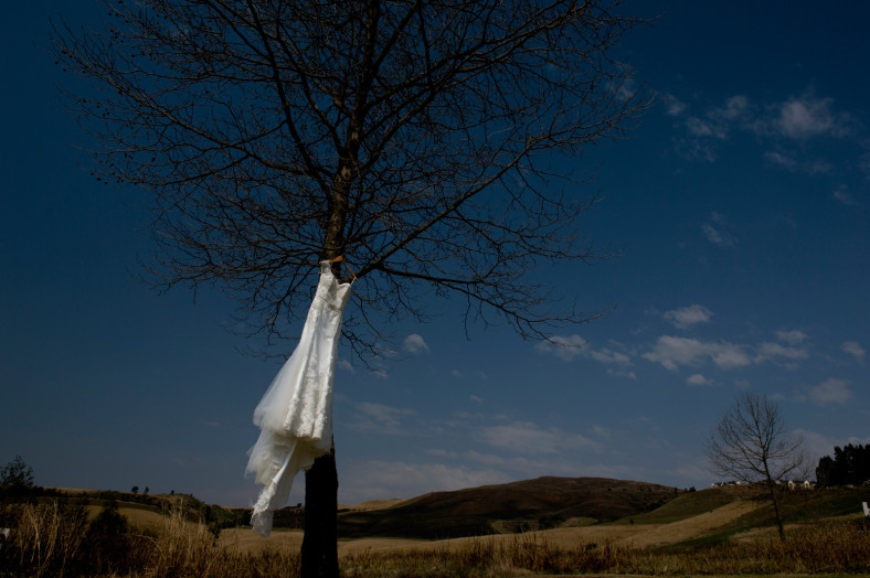 Wedding dress in tree