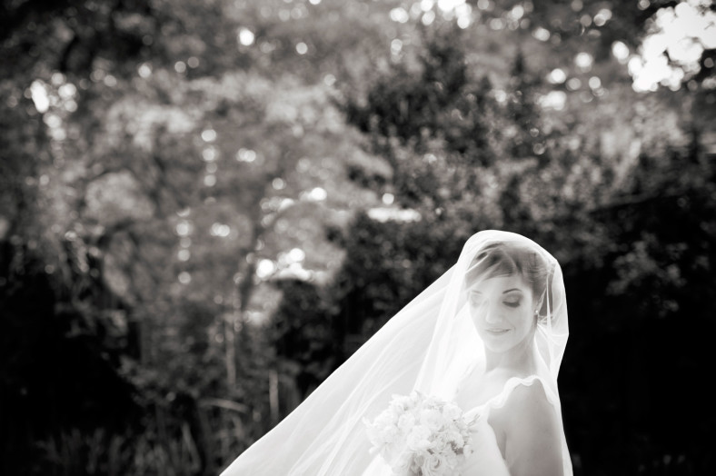 bride in veil