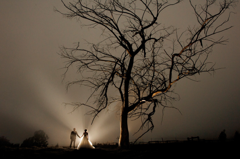couple by tree