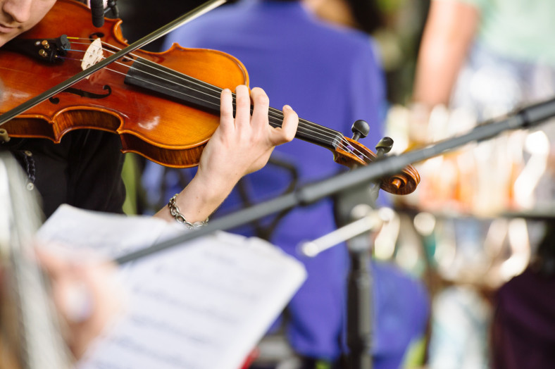 violin