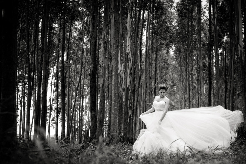 swan dress in woods