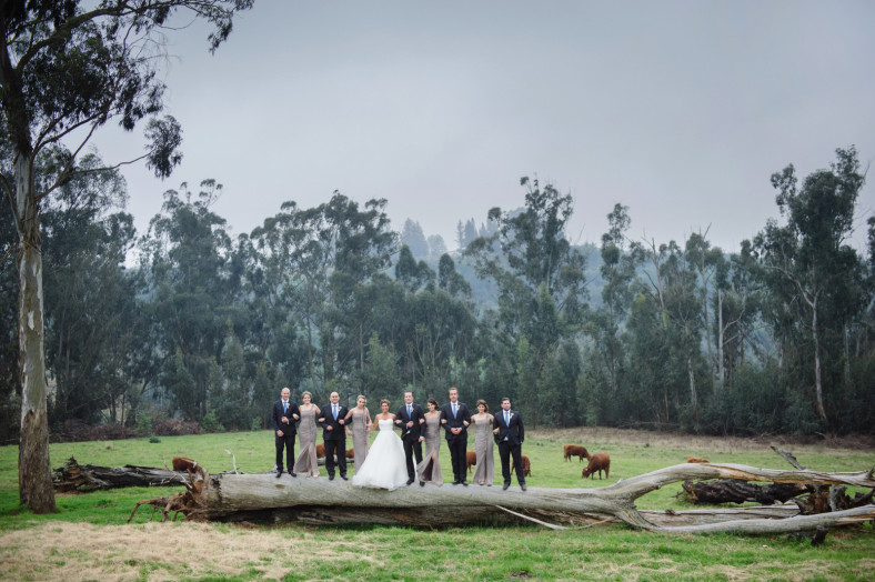 bridal party