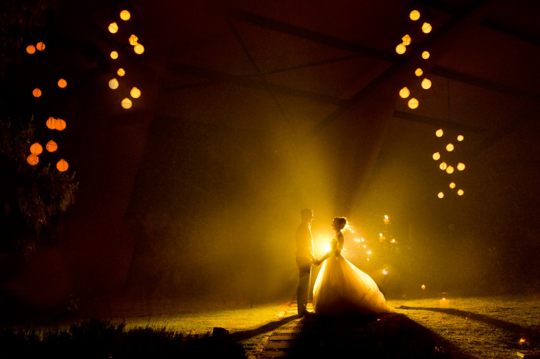 wedding wow shot