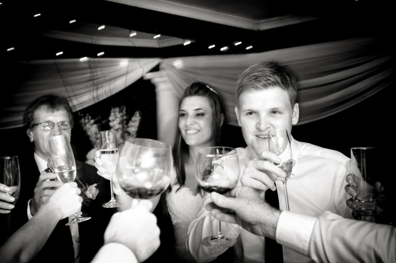bride and groom toast