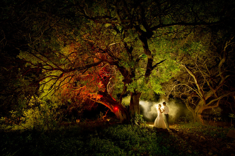 bride and groom under colourful tree