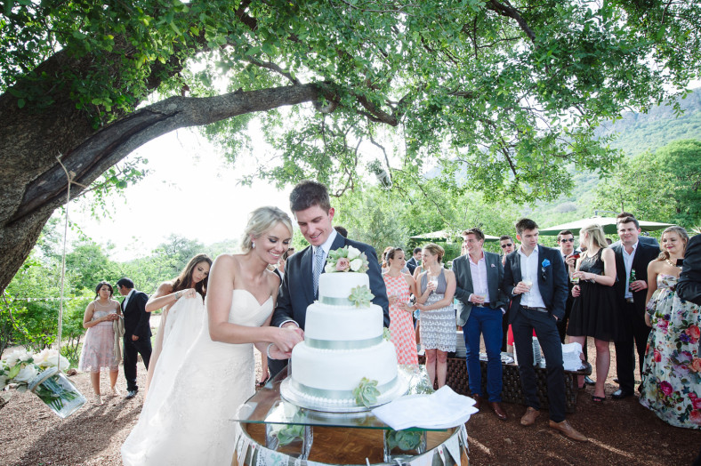 cake cutting