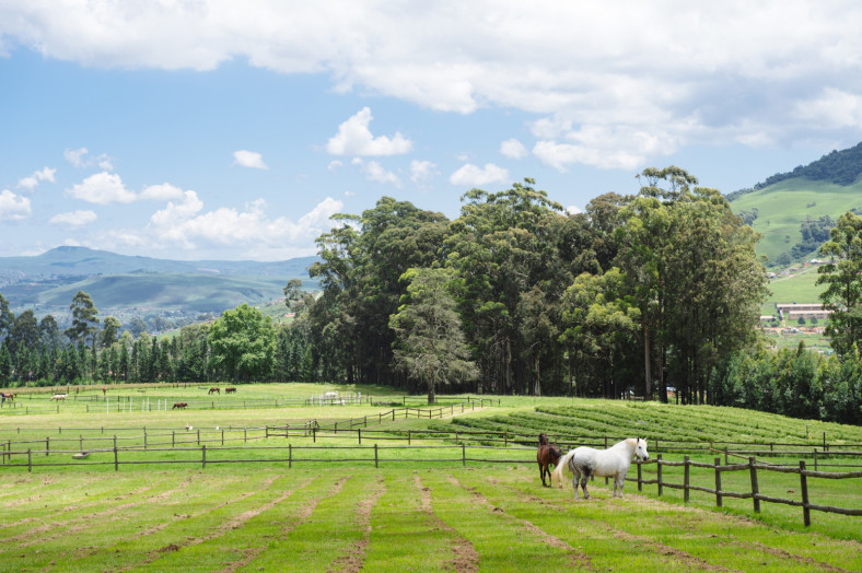 scenic farm