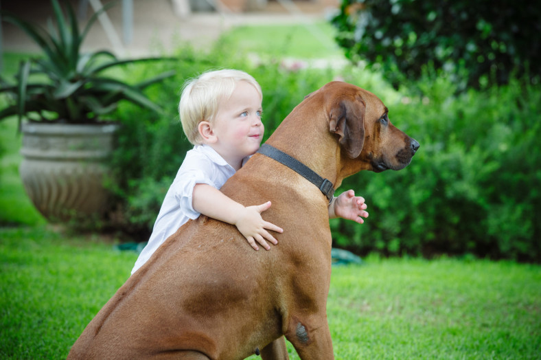 kid hugging dog