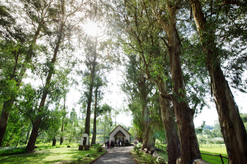Cranford Country Lodge Documentary Wedding Photography Ceremony