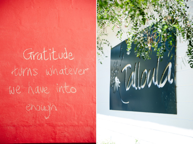 Talloula Documentary Wedding Photography Decor