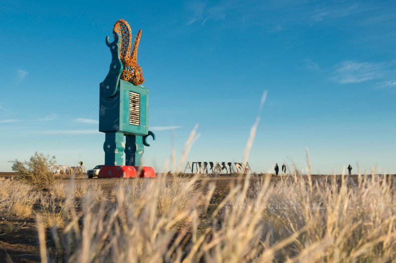 AfrikaBurn Tankwa bunny