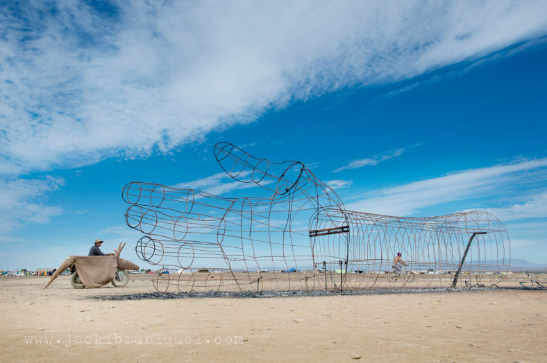 AfrikaBurn Tankwa
