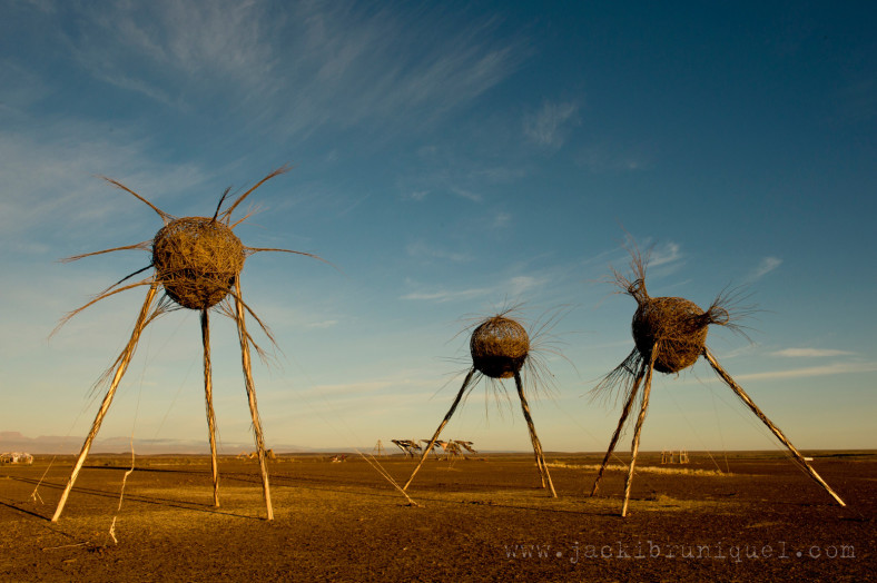 AfrikaBurn Tankwa