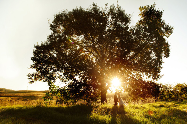 Midlands wedding bride and groom under a tree