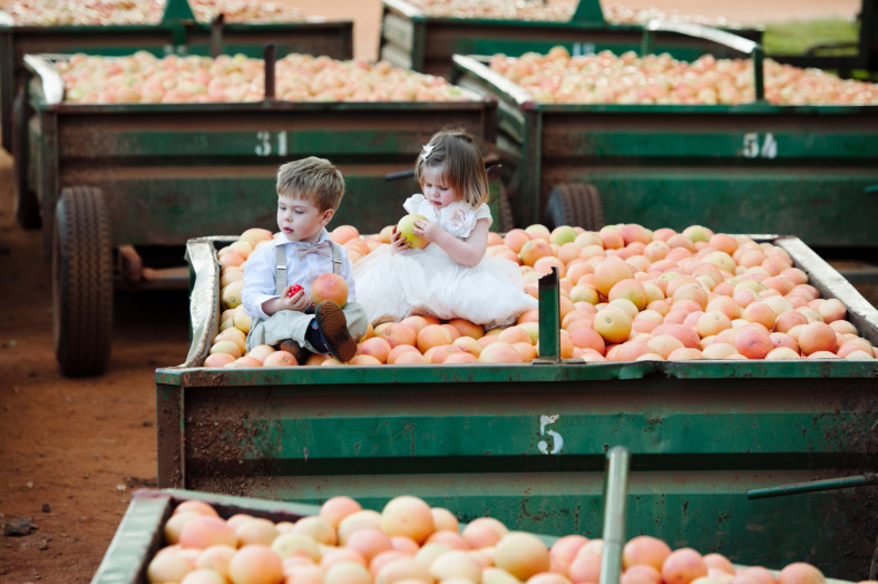 Cute kids with fruit at wedding