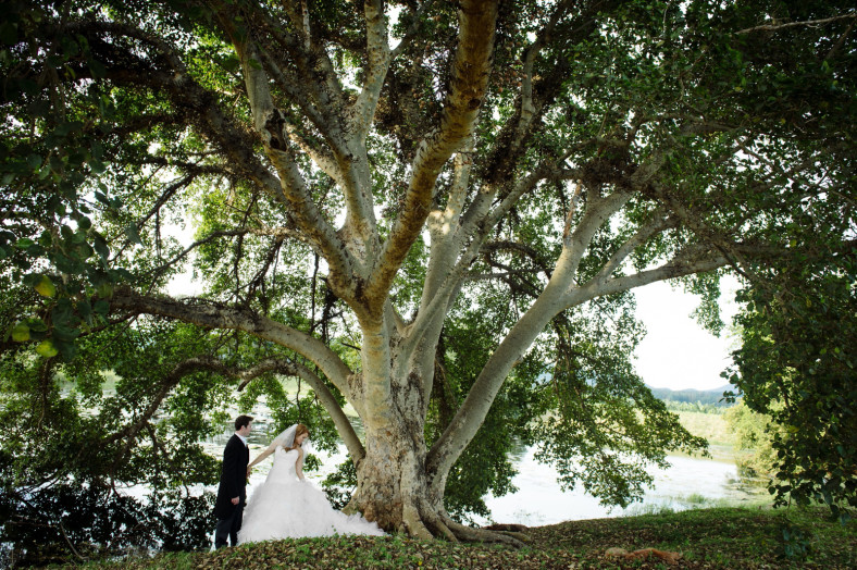 Bride and Groom under tree