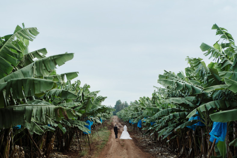 Bride and Groom in Banana trees
