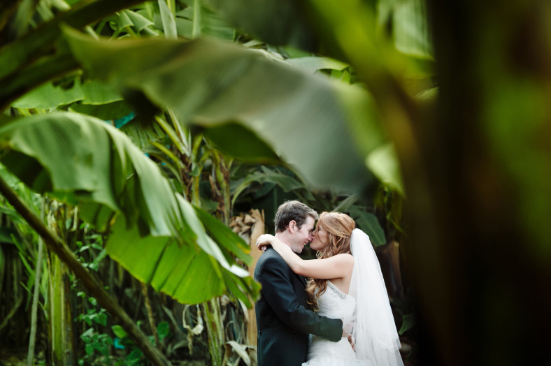 Bride and Groom in Banana trees