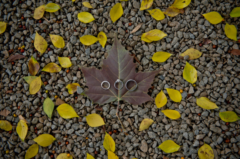 Wedding rings on a leaf
