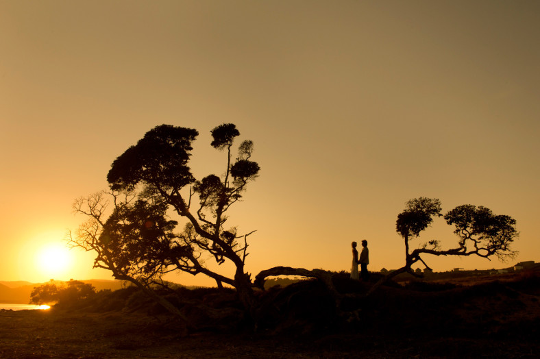 couple in tree at sunset