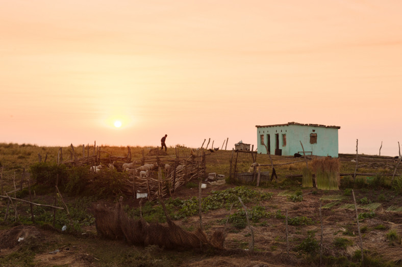 african housing