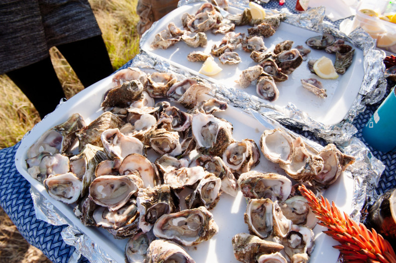 fresh oysters