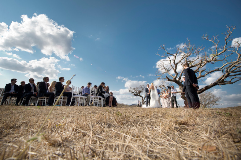 Wedding in game park under a tree