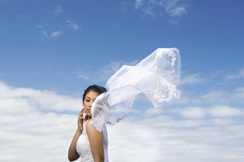 Bride with veil