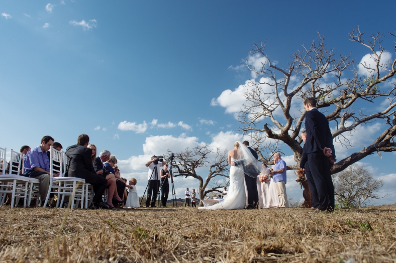 Safari wedding