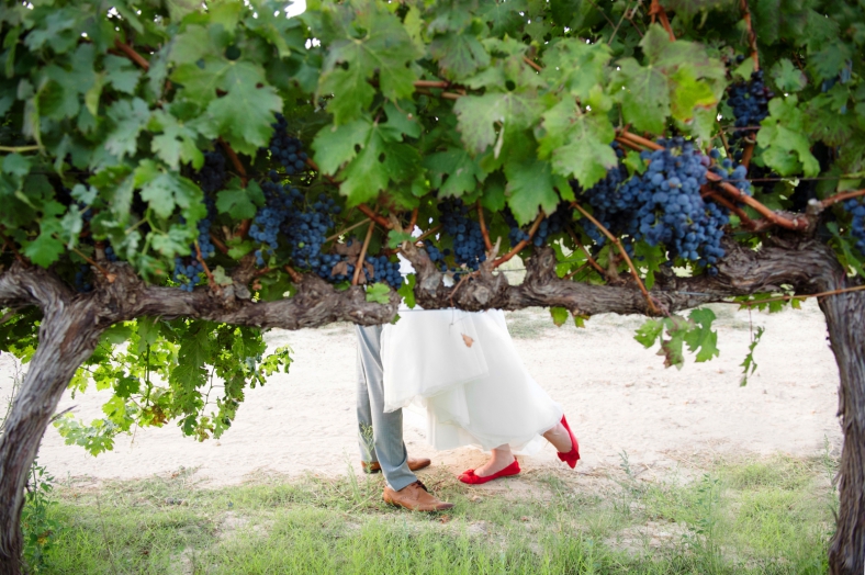 Bride and Groom in Vineyard