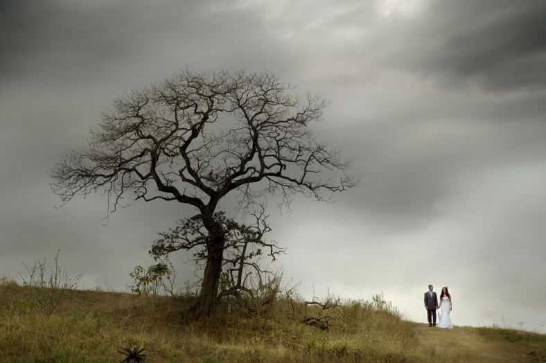 African Tree Bride and Groom