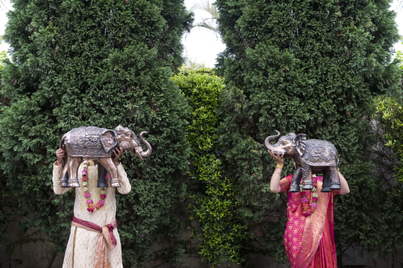 Hindu Bride and Groom with Elephants