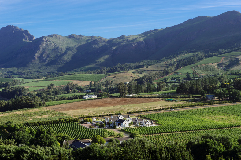 Zorgvliet Wine Farm