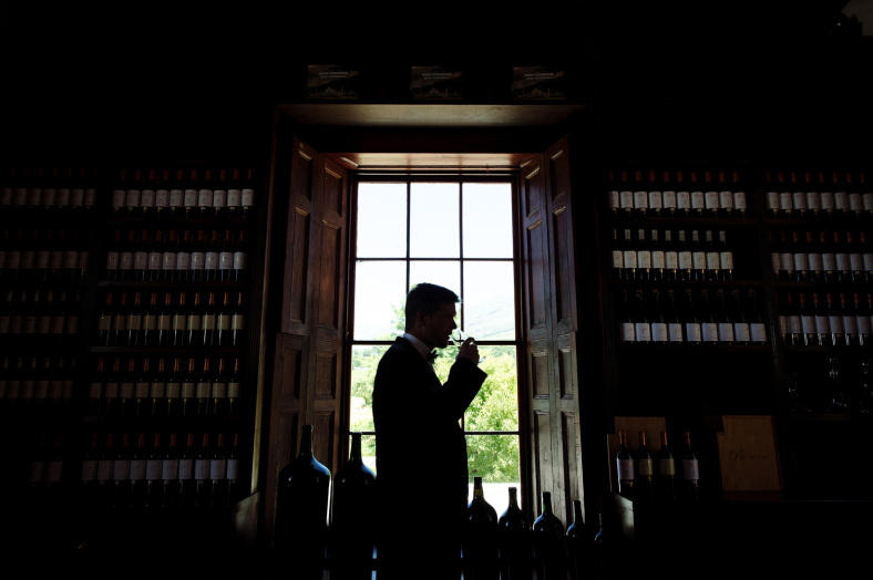 Groom in winelands
