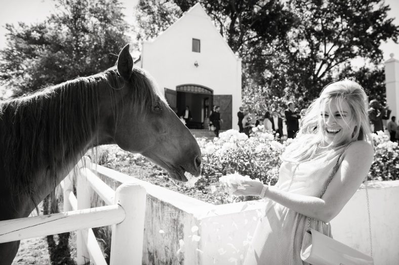 Horse attacks woman