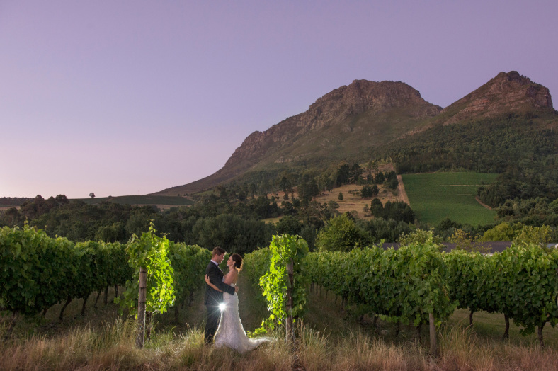 Bride and Groom in vineyard
