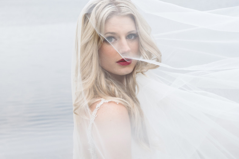 Bride in Veil