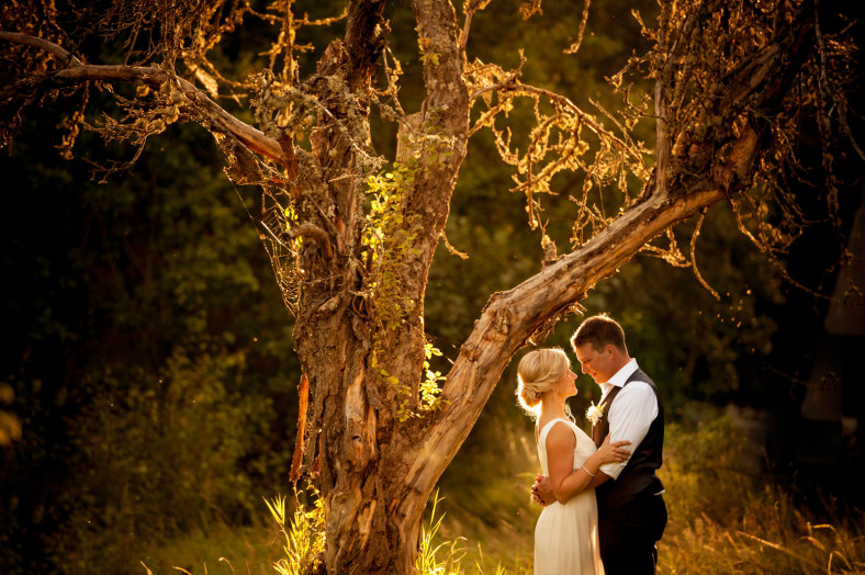 bride and groom sunset