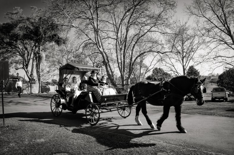 bride arriving on a horse