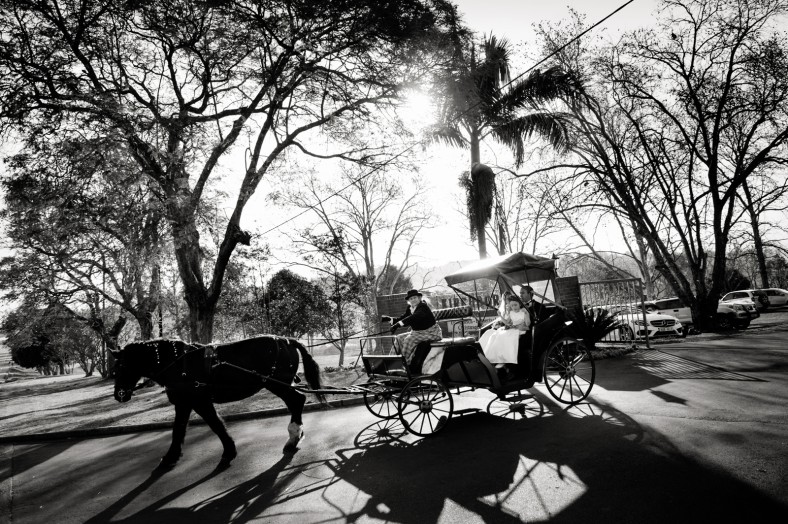 horse and carriage wedding