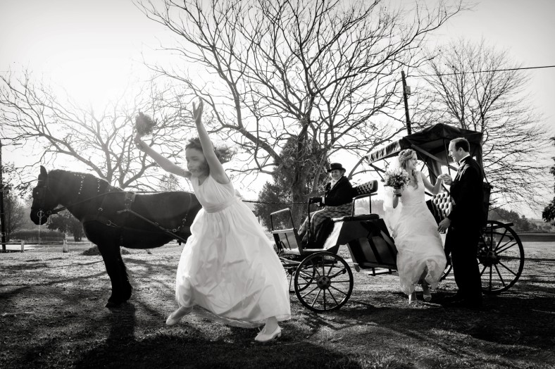 horse and carriage wedding