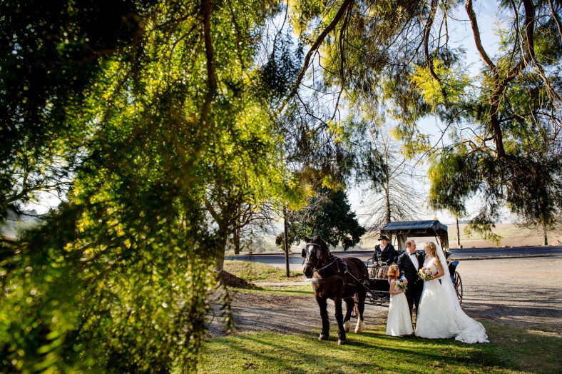 horse and carriage wedding