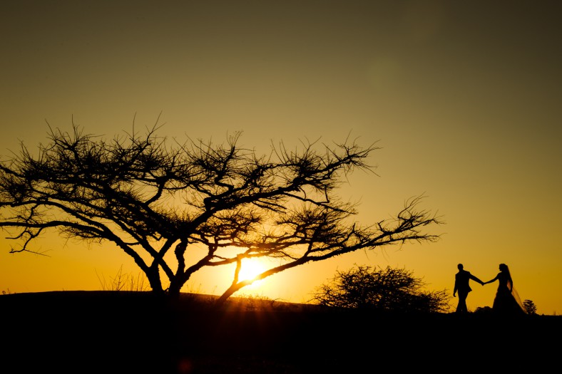 bride and groom silhouette