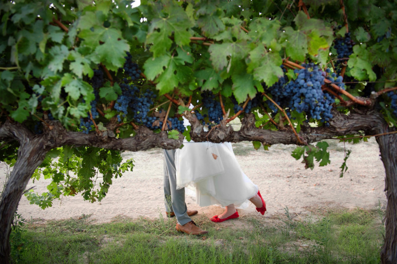 winelands wedding